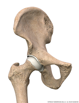 File:Hip bone - close-up - lateral view (right hip bone).png - Wikipedia